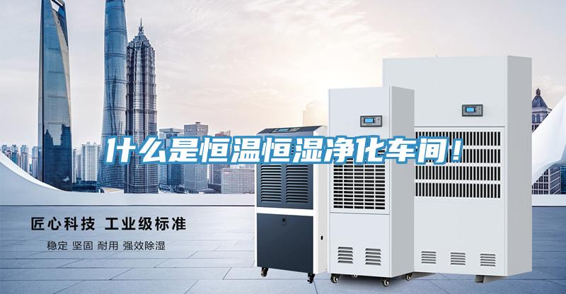 什么是恒溫恒濕凈化車間！