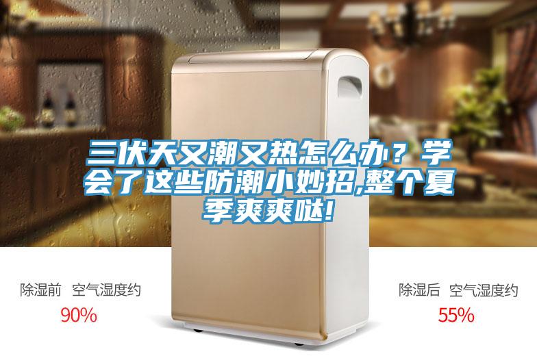 三伏天又潮又熱怎么辦？學(xué)會了這些防潮小妙招,整個夏季爽爽噠!