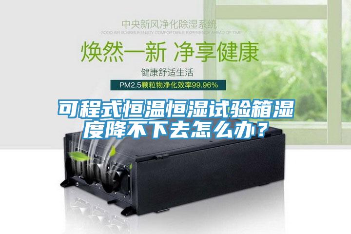 可程式恒溫恒濕試驗(yàn)箱濕度降不下去怎么辦？