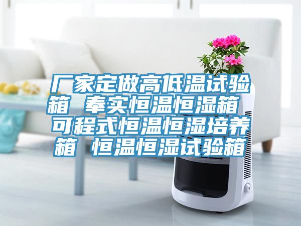 廠家定做高低溫試驗箱 奉實(shí)恒溫恒濕箱 可程式恒溫恒濕培養(yǎng)箱 恒溫恒濕試驗箱