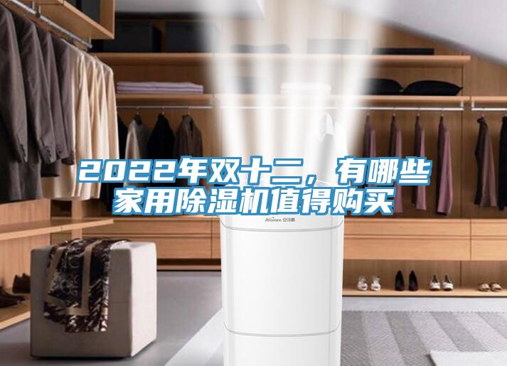 2022年雙十二，有哪些家用除濕機(jī)值得購(gòu)買