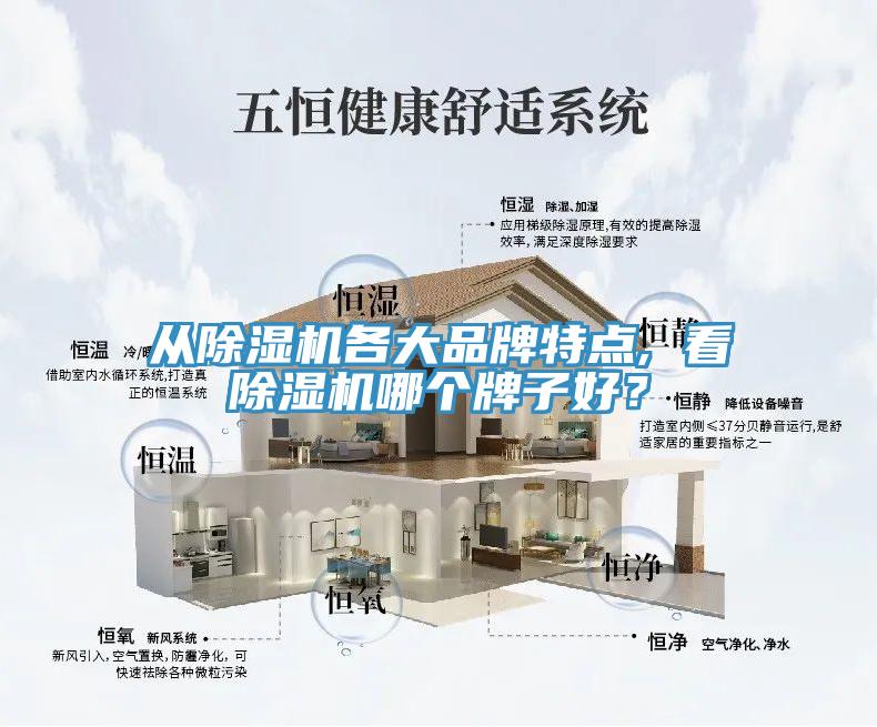 從除濕機(jī)各大品牌特點(diǎn), 看除濕機(jī)哪個(gè)牌子好？