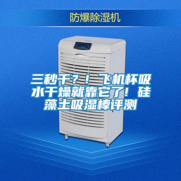 三秒干？! 飛機杯吸水干燥就靠它了! 硅藻土吸濕棒評測