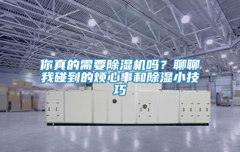 你真的需要除濕機(jī)嗎？聊聊我碰到的煩心事和除濕小技巧