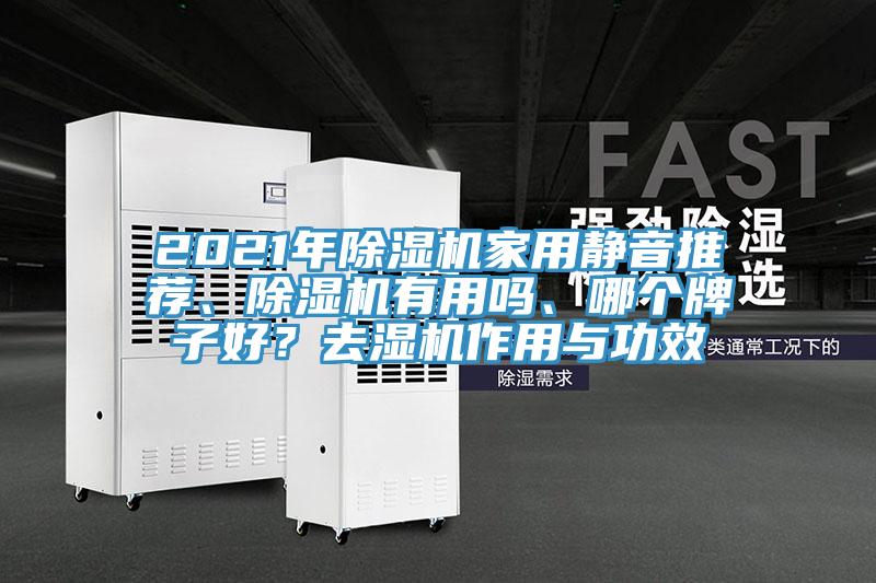 2021年除濕機家用靜音推薦、除濕機有用嗎、哪個牌子好？去濕機作用與功效