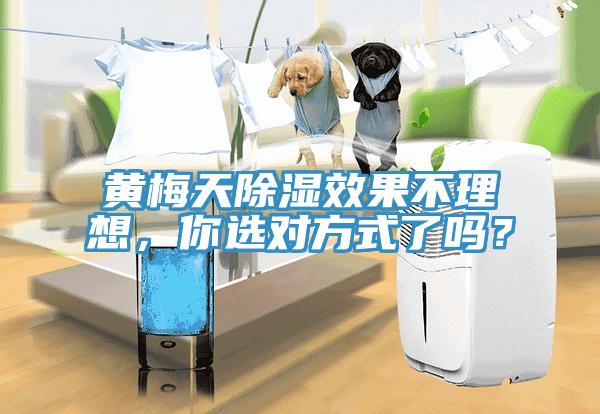 黃梅天除濕效果不理想，你選對(duì)方式了嗎？