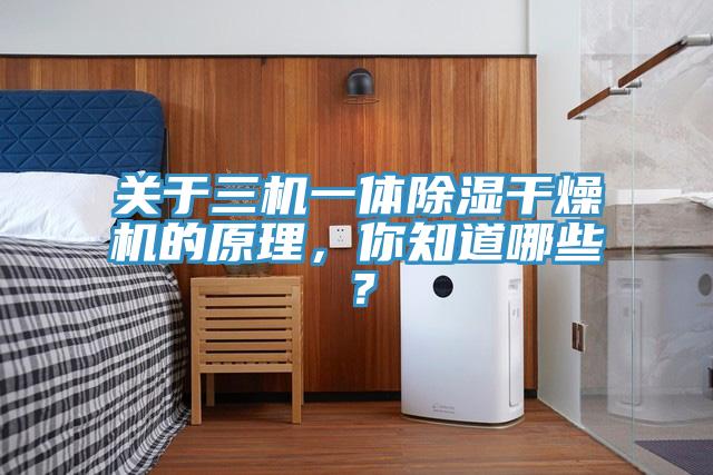 關(guān)于三機(jī)一體除濕干燥機(jī)的原理，你知道哪些？