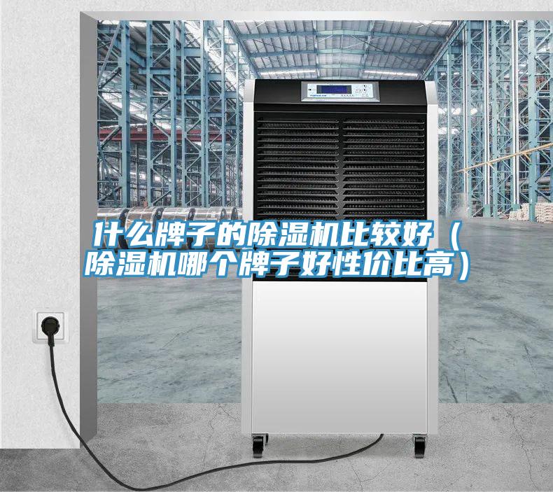 什么牌子的除濕機(jī)比較好（除濕機(jī)哪個牌子好性價(jià)比高）