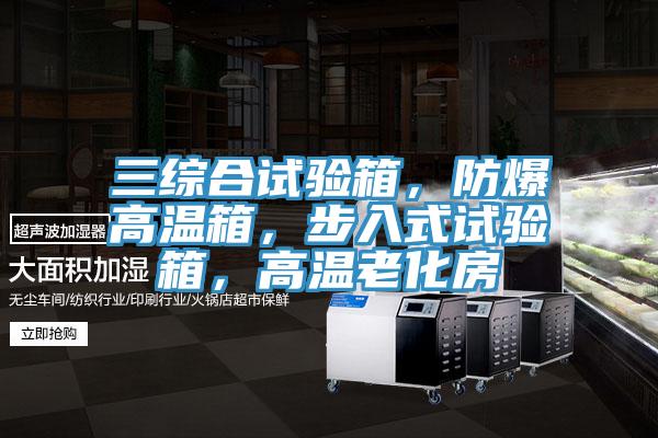 三綜合試驗箱，防爆高溫箱，步入式試驗箱，高溫老化房