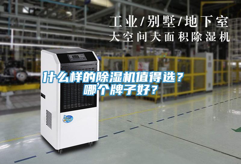 什么樣的除濕機(jī)值得選？ 哪個牌子好？