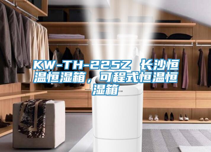 KW-TH-225Z 長沙恒溫恒濕箱，可程式恒溫恒濕箱
