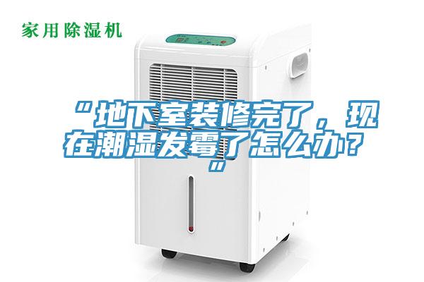 “地下室裝修完了，現(xiàn)在潮濕發(fā)霉了怎么辦？”