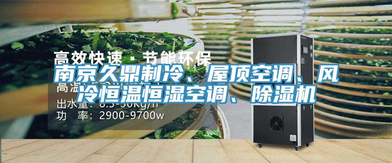 南京久鼎制冷、屋頂空調、風冷恒溫恒濕空調、除濕機