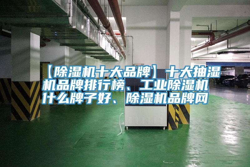 【除濕機十大品牌】十大抽濕機品牌排行榜、工業(yè)除濕機什么牌子好、除濕機品牌網