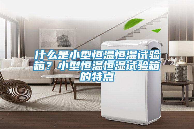 什么是小型恒溫恒濕試驗(yàn)箱？小型恒溫恒濕試驗(yàn)箱的特點(diǎn)