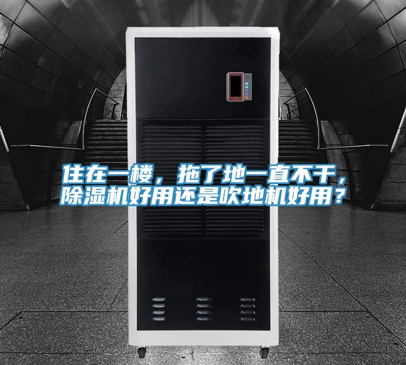 住在一樓，拖了地一直不干，除濕機(jī)好用還是吹地機(jī)好用？