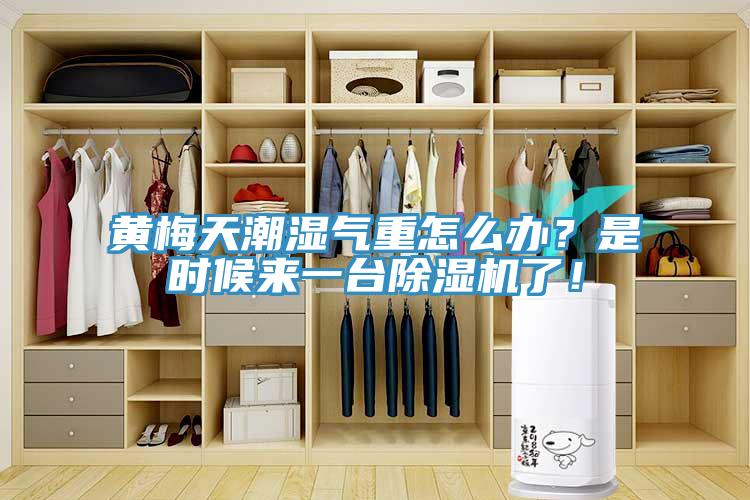 黃梅天潮濕氣重怎么辦？是時(shí)候來(lái)一臺(tái)除濕機(jī)了！