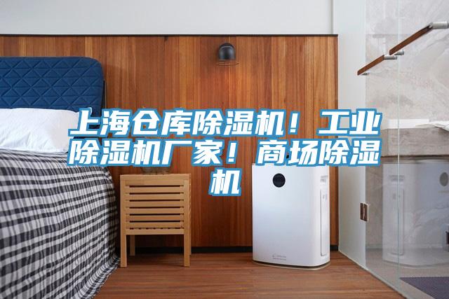 上海倉庫除濕機！工業(yè)除濕機廠家！商場除濕機