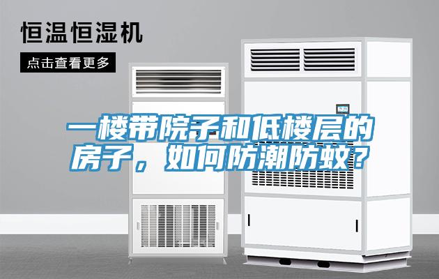 一樓帶院子和低樓層的房子，如何防潮防蚊？