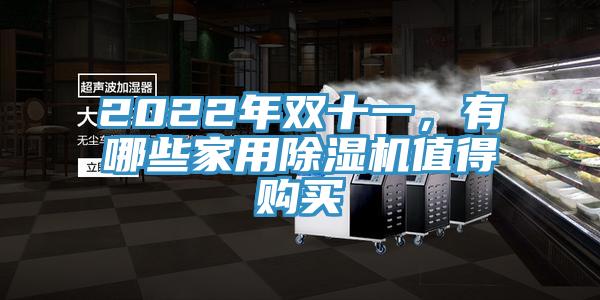 2022年雙十一，有哪些家用除濕機(jī)值得購(gòu)買