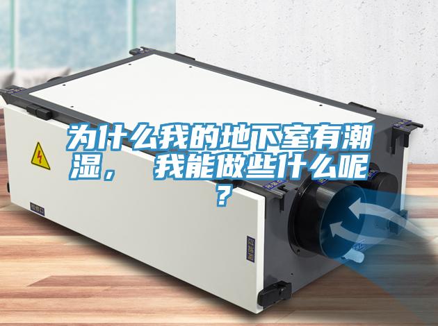 為什么我的地下室有潮濕， 我能做些什么呢？