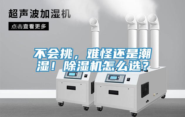 不會(huì)挑，難怪還是潮濕！除濕機(jī)怎么選？