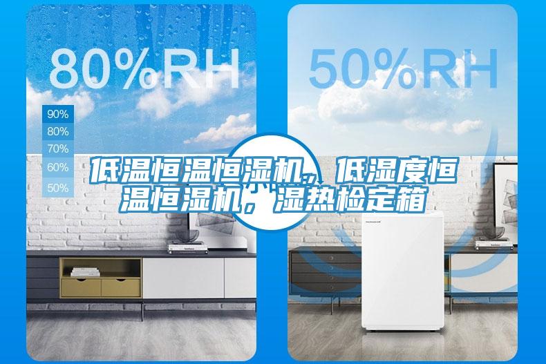低溫恒溫恒濕機，低濕度恒溫恒濕機，濕熱檢定箱