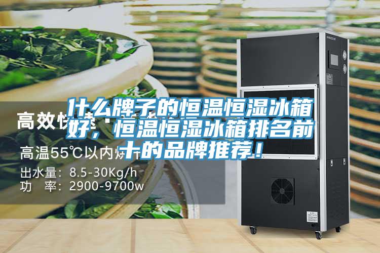 什么牌子的恒溫恒濕冰箱好，恒溫恒濕冰箱排名前十的品牌推薦！