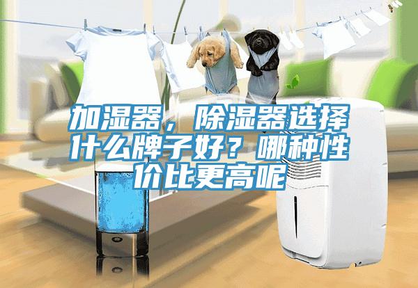 加濕器，除濕器選擇什么牌子好？哪種性價(jià)比更高呢