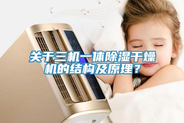 關(guān)于三機(jī)一體除濕干燥機(jī)的結(jié)構(gòu)及原理？