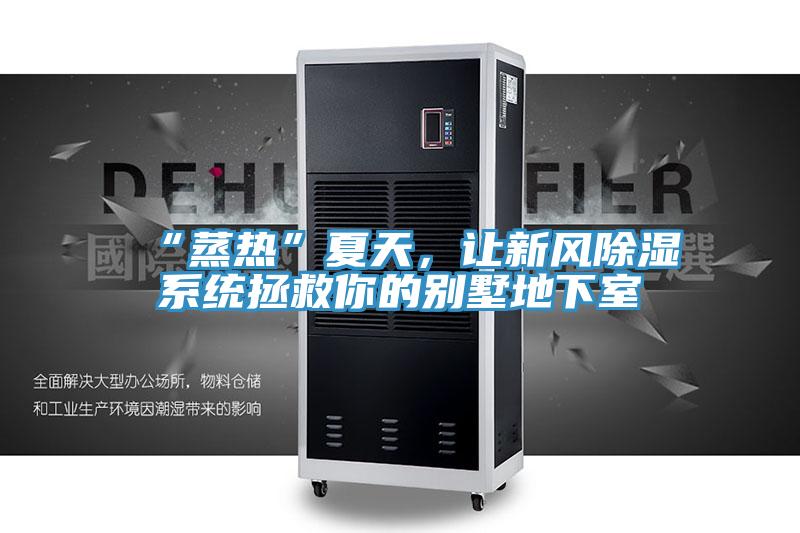 “蒸熱”夏天，讓新風(fēng)除濕系統(tǒng)拯救你的別墅地下室