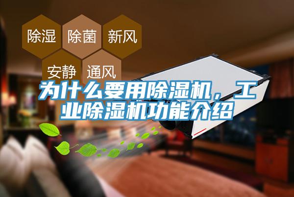 為什么要用除濕機，工業(yè)除濕機功能介紹