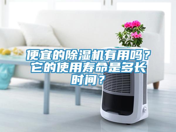 便宜的除濕機(jī)有用嗎？它的使用壽命是多長時(shí)間？