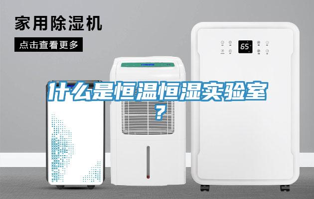 什么是恒溫恒濕實(shí)驗(yàn)室？