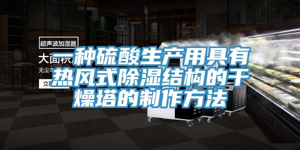 一種硫酸生產(chǎn)用具有熱風式除濕結構的干燥塔的制作方法