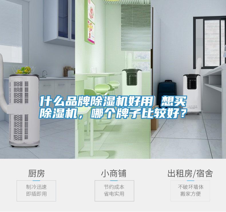 什么品牌除濕機好用 想買除濕機，哪個牌子比較好？