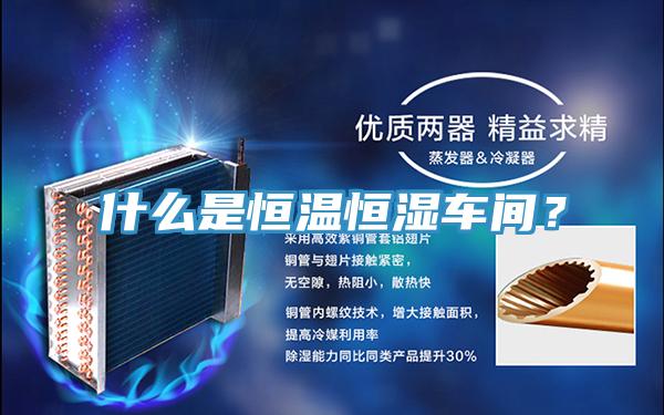 什么是恒溫恒濕車(chē)間？