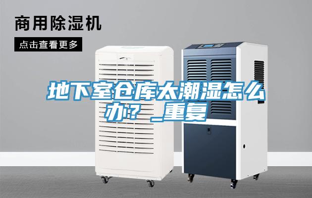 地下室倉(cāng)庫(kù)太潮濕怎么辦？_重復(fù)