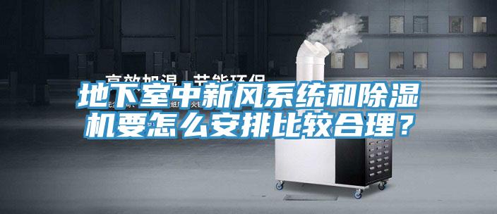 地下室中新風(fēng)系統(tǒng)和除濕機(jī)要怎么安排比較合理？