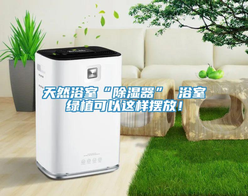 天然浴室“除濕器” 浴室綠植可以這樣擺放！