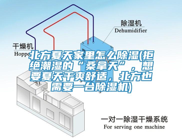 北方夏天家里怎么除濕(拒絕潮濕的“桑拿天”，想要夏天干爽舒適，北方也需要一臺(tái)除濕機(jī))