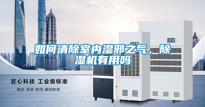 如何清除室內(nèi)濕邪之氣，除濕機(jī)有用嗎