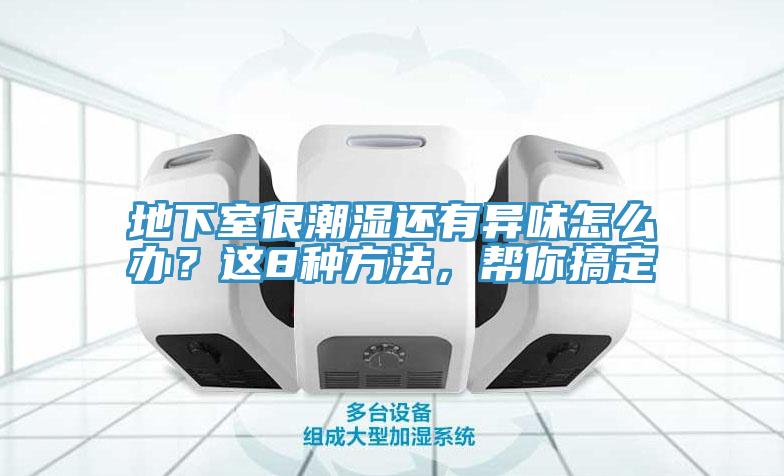 地下室很潮濕還有異味怎么辦？這8種方法，幫你搞定