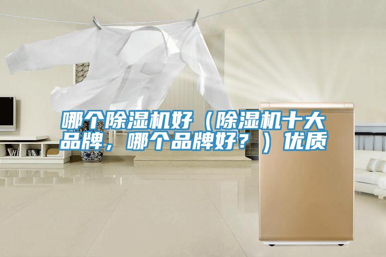 哪個(gè)除濕機(jī)好（除濕機(jī)十大品牌，哪個(gè)品牌好？）優(yōu)質(zhì)