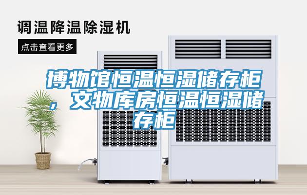 博物館恒溫恒濕儲存柜，文物庫房恒溫恒濕儲存柜