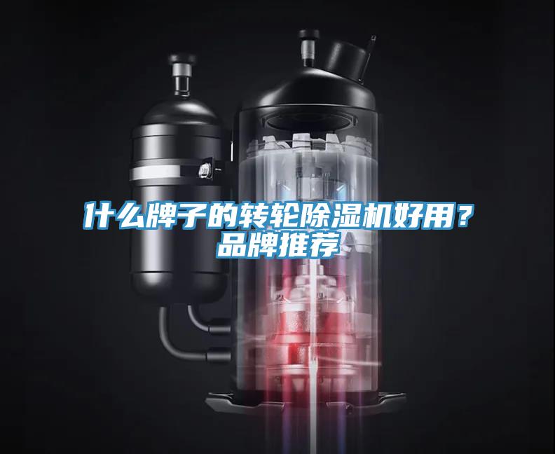 什么牌子的轉(zhuǎn)輪除濕機(jī)好用？品牌推薦