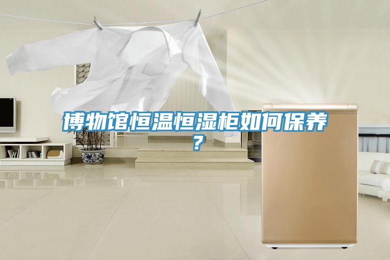 博物館恒溫恒濕柜如何保養(yǎng)？