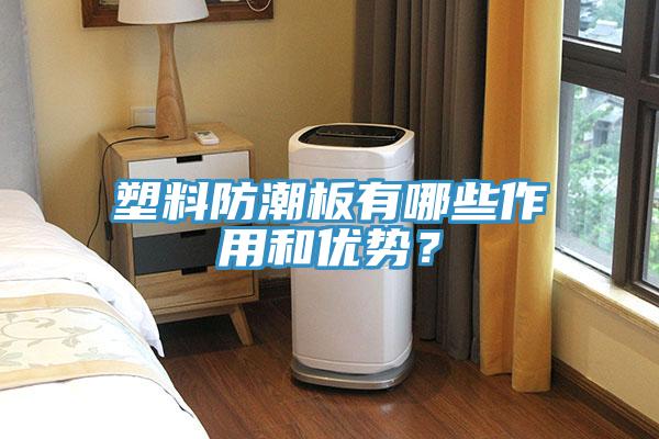 塑料防潮板有哪些作用和優(yōu)勢？