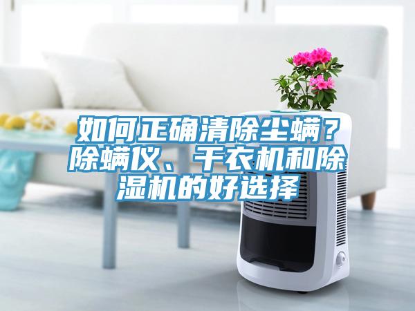 如何正確清除塵螨？除螨儀、干衣機(jī)和除濕機(jī)的好選擇