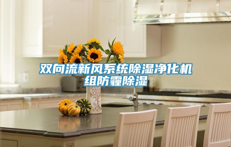 雙向流新風(fēng)系統(tǒng)除濕凈化機組防霾除濕